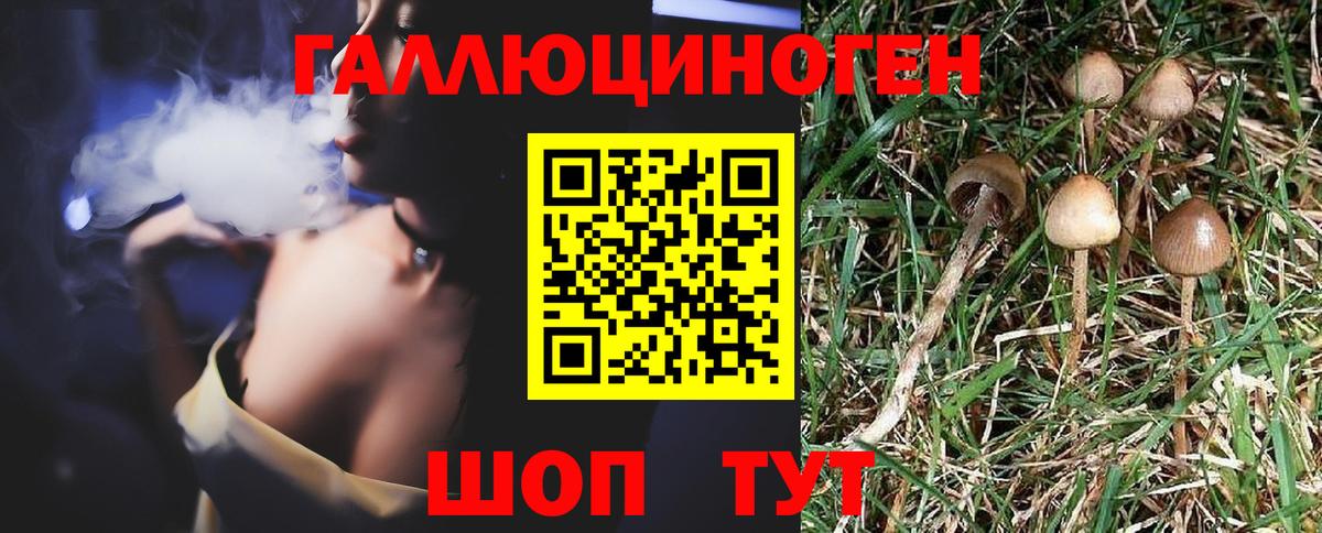 Галлюциногенные грибы Magic Shrooms  Вход с VPN  Галлюциногенные грибы ЛСД  Ижевск 